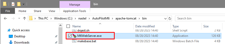 WinService2.png