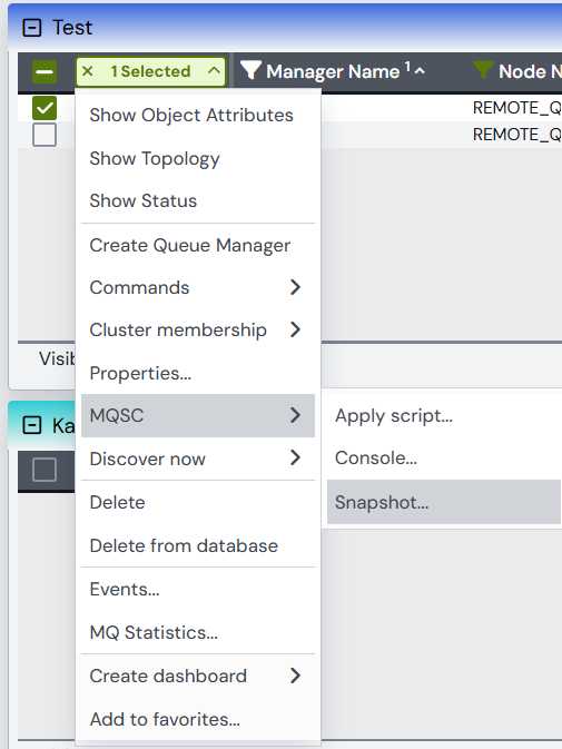 Snapshot option.png
