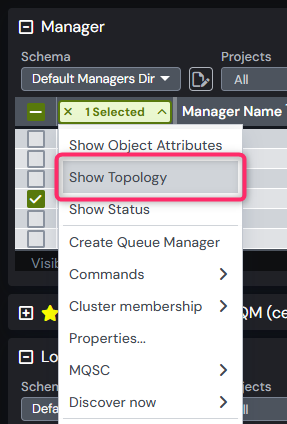 SHow topology options.png