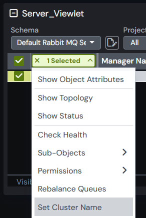 RabbitMQ Server set server option.png