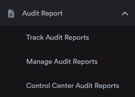 Audit report.png